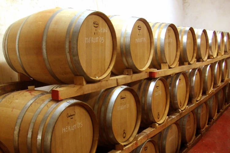 The Torrigiani's wine is made by a mix of sangiovese, canaiolo, merlot e cabernet sauvignon produced and aged in Tuscany,in the renowed and famous vineyard of Chianti, in Barberino D'Elsa.
