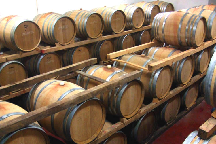 I vini guidaccio e torre di ciardo dei marchesi torrigiani maturano in barrique per oltre un anno