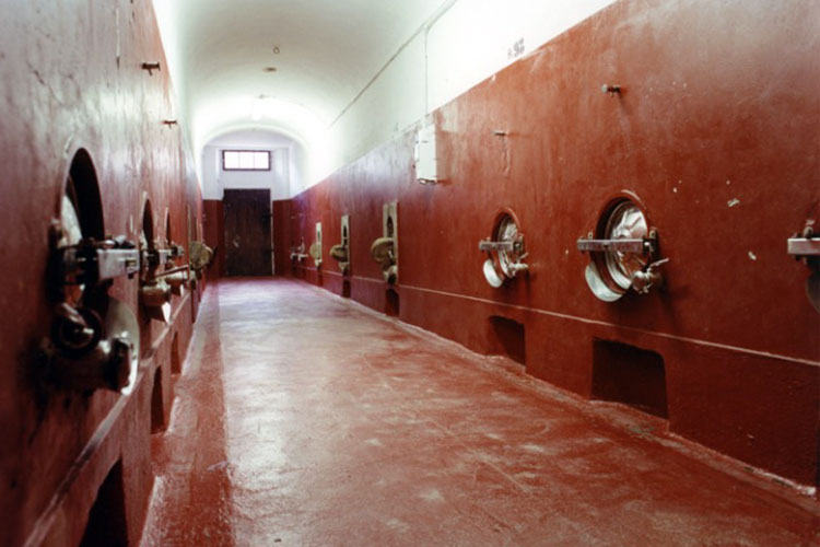 I vini delle fattorie marchesi torrigiani fermentano in queste vasche di cemento prima di passare nei barriques